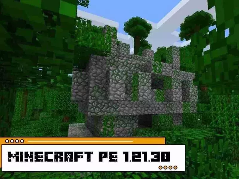 Minecraft 1.21.30 - Bundles – túi lưu trữ thử nghiệm Minecraft 1.21.30 - Bundles – túi lưu trữ thử nghiệm