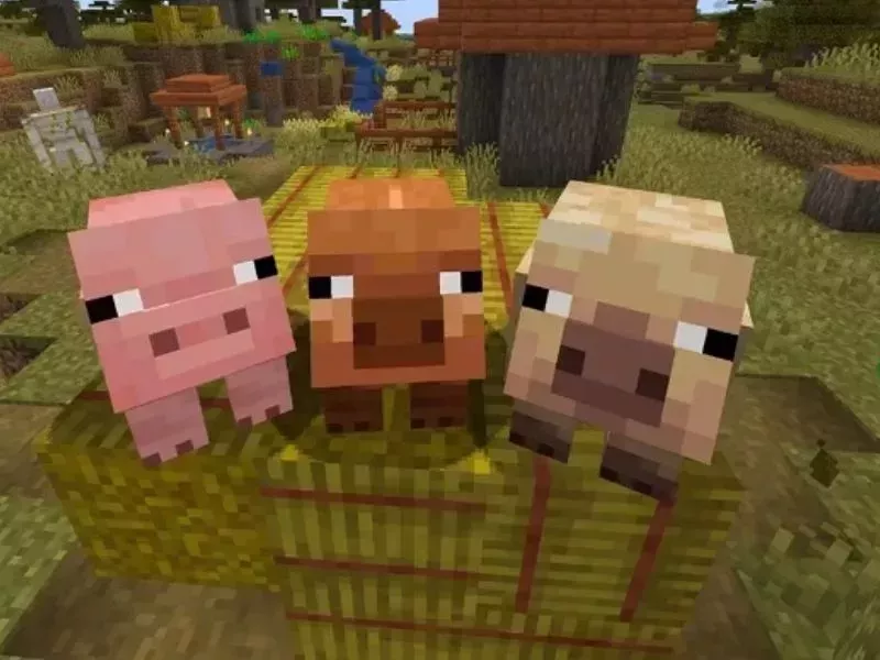Mẹo chơi Minecraft - Tạo kho lưu trữ và quy tắc sắp xếp Mẹo chơi Minecraft - Tạo kho lưu trữ và quy tắc sắp xếp