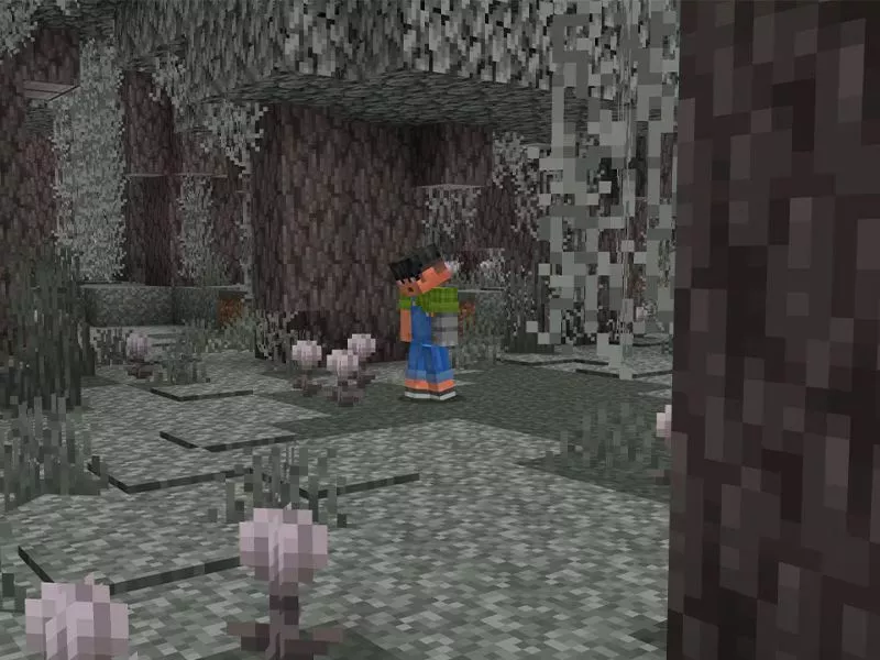 Farm Guardian Minecraft - Loot, XP và giá trị thực tế Farm Guardian Minecraft - Loot, XP và giá trị thực tế