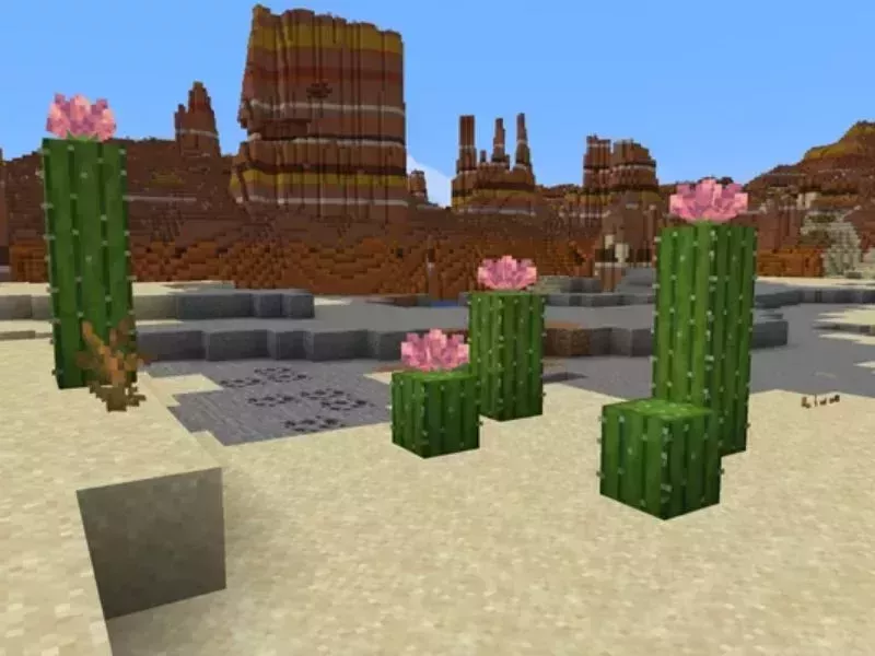 Nuôi cừu Minecraft - Tạo nền cỏ để cừu mọc lại len đều Nuôi cừu Minecraft - Tạo nền cỏ để cừu mọc lại len đều