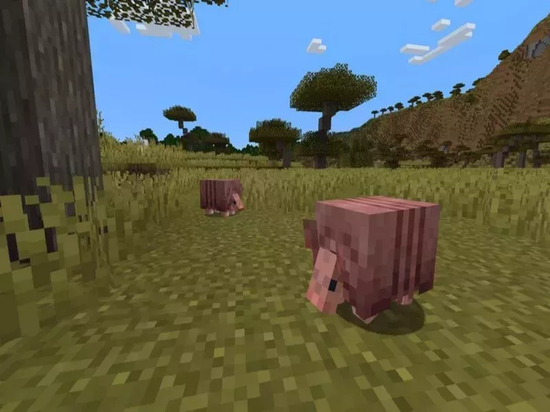 Cách chat minecraft - Chat công khai và chat riêng