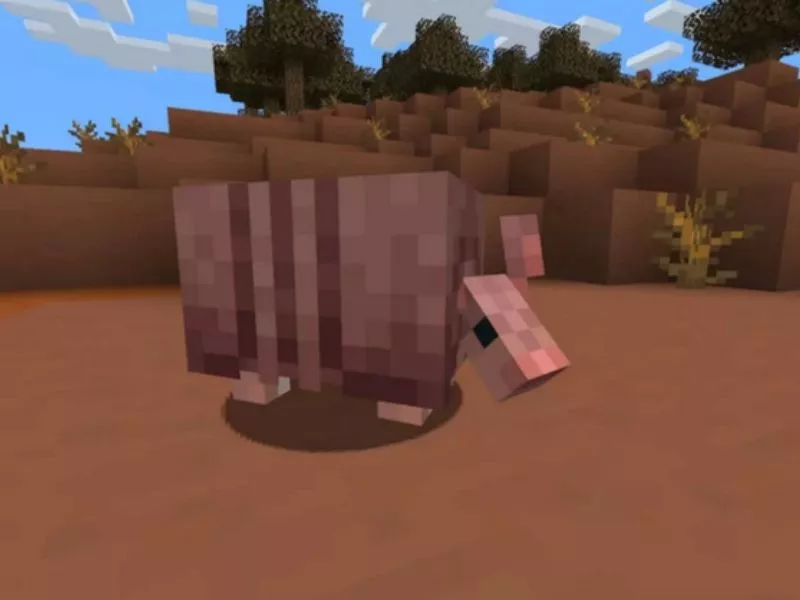 Minecraft pe 1.21.71 - Biến thể lợn và bò theo biome Minecraft pe 1.21.71 - Biến thể lợn và bò theo biome