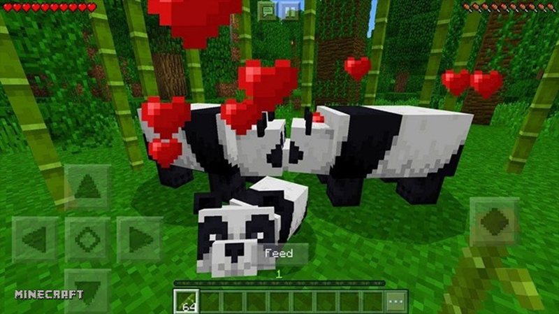 Tàn tích đại dương Minecraft - Tàn tích đại dương lạnh Tàn tích đại dương Minecraft - Tàn tích đại dương lạnh