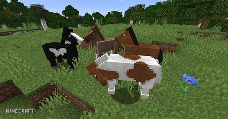 Triệu hồi Wither Minecraft - Bước 4: Rút lui và giao chiến Triệu hồi Wither Minecraft - Bước 4: Rút lui và giao chiến